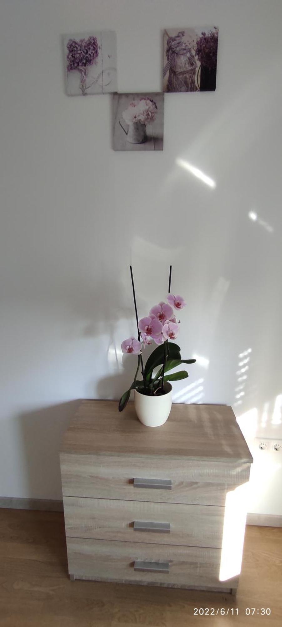 Apartment Šišan Extérieur photo